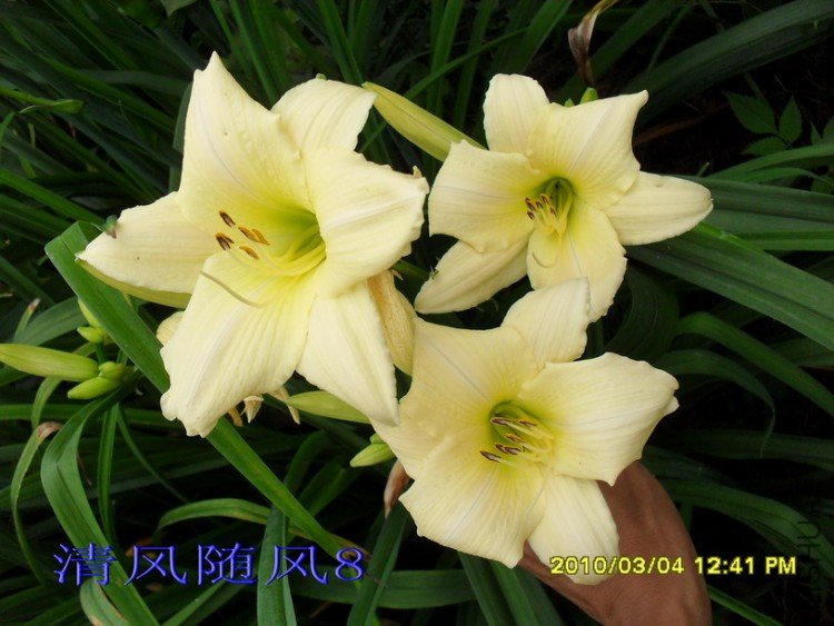 SDC17559.jpg