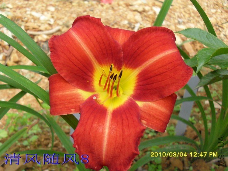 SDC17603.jpg