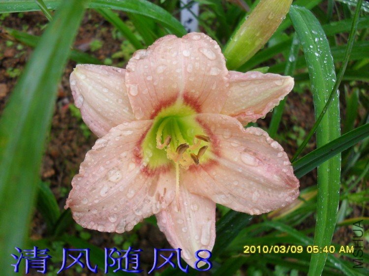 SDC102741.jpg