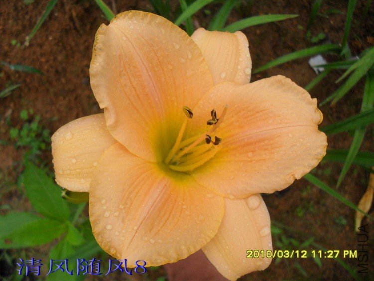 SDC120571.jpg