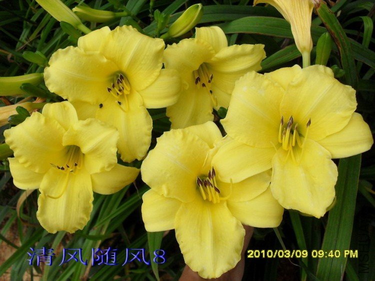 SDC109221.jpg