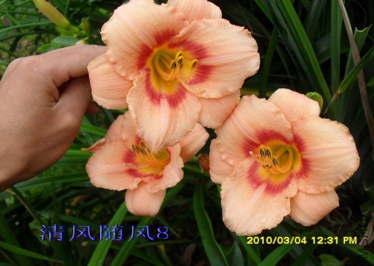 SDC174621.jpg