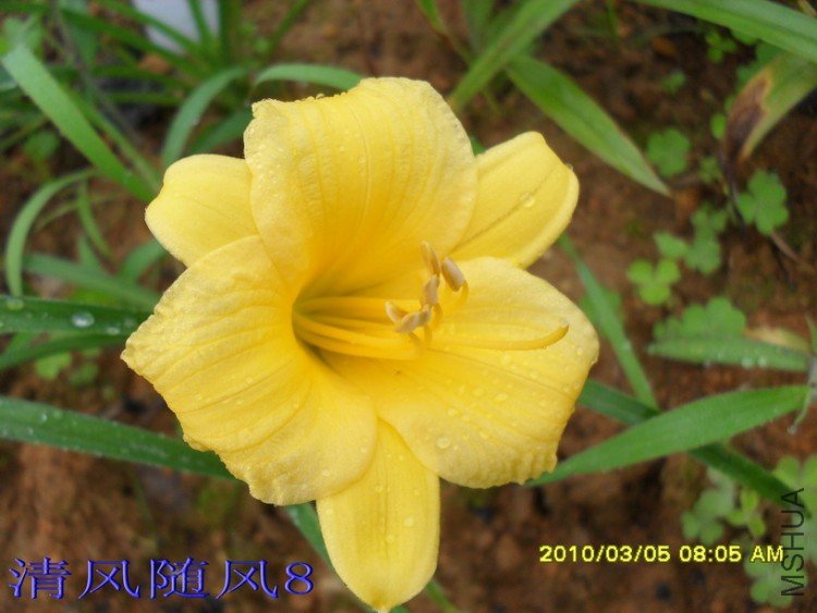 SDC18106.jpg