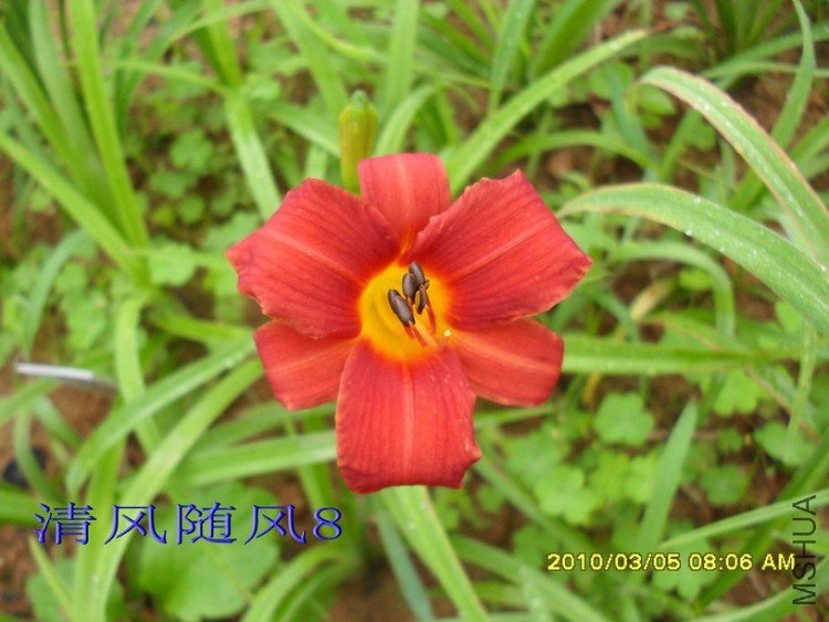 SDC18117.jpg