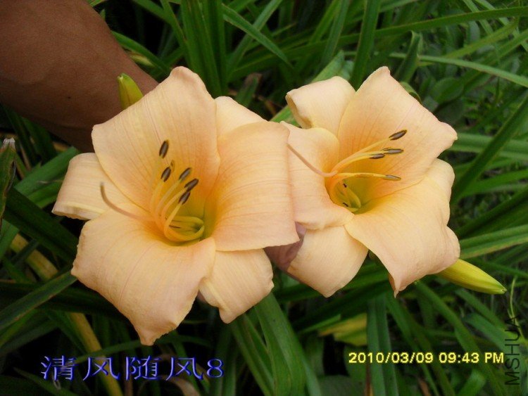 SDC109610.jpg