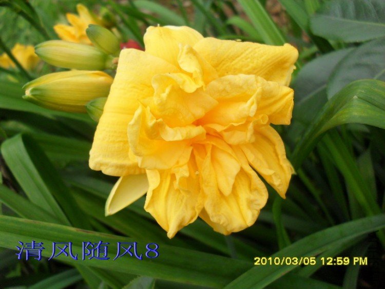 SDC18265.jpg