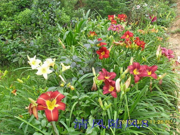 SDC190521.jpg