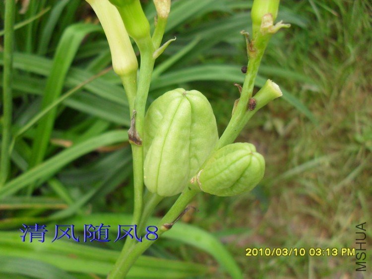 SDC11670.jpg