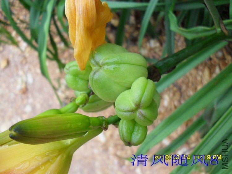 SDC12347.jpg