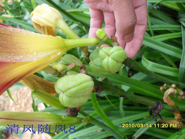 SDC12349.jpg