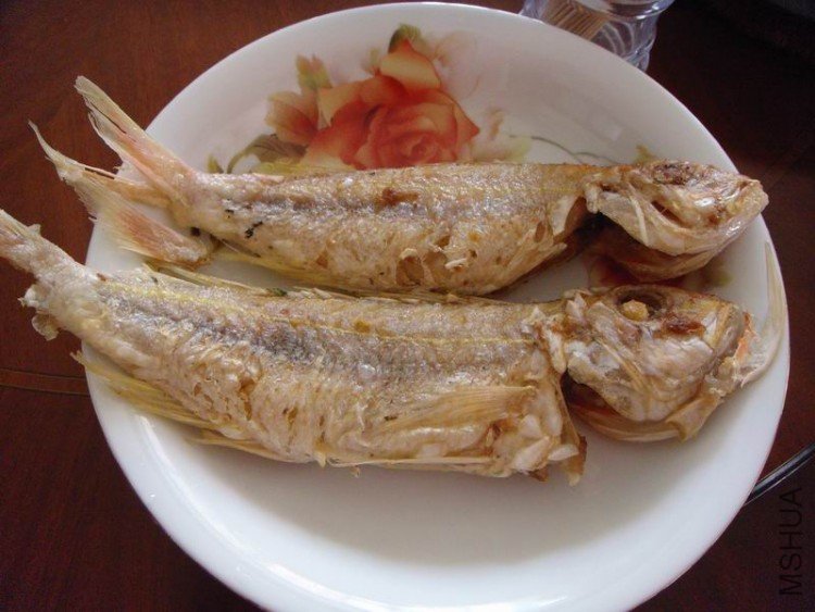 ������С DSC08501.JPG