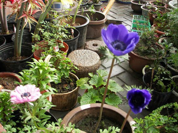 100_3244.jpg