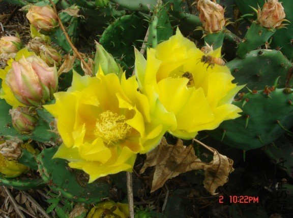 �ƻ�����