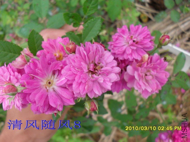 ��������13 (6).jpg