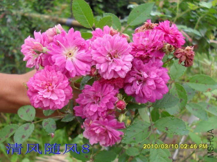 ��������13 (8).jpg