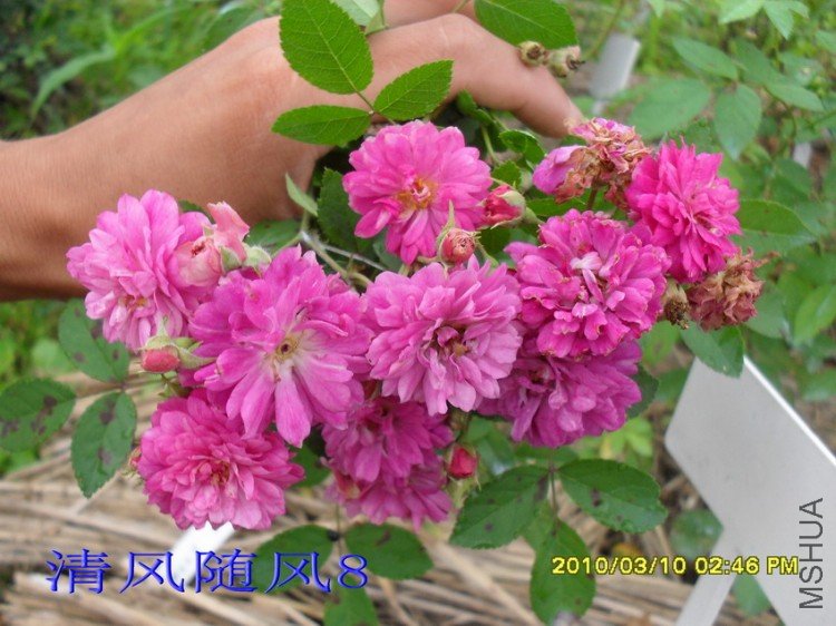 ��������13 (7).jpg