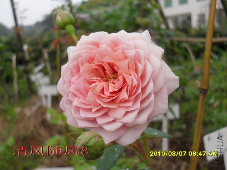 ����Ī��˹11 (4).jpg