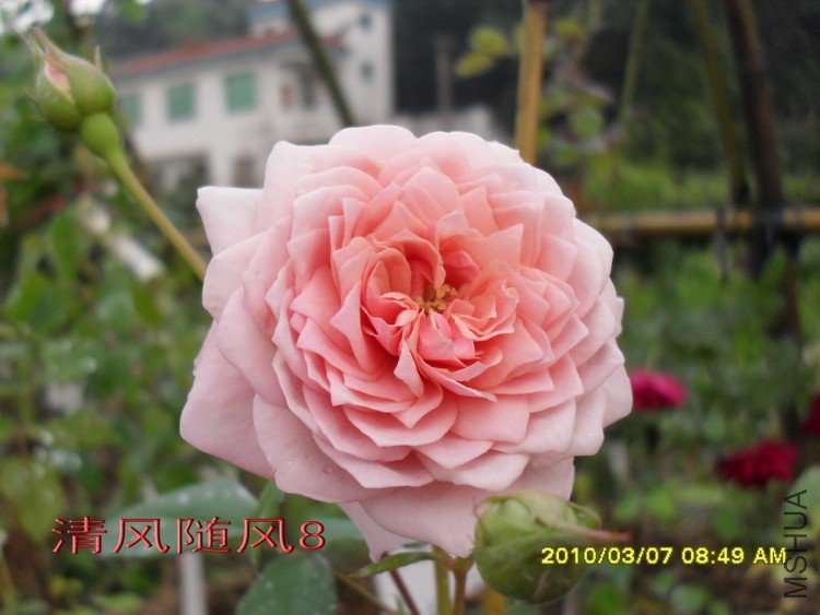 ����Ī��˹11 (7).jpg