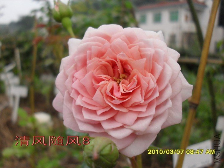 ����Ī��˹11 (5).jpg