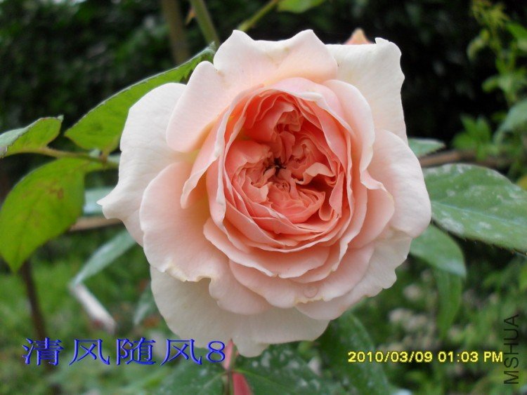 ��ܽ��13 (1).jpg