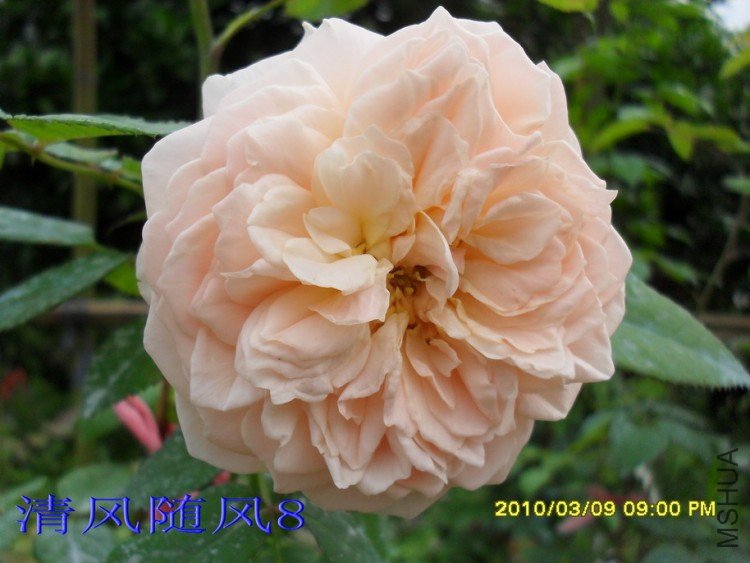 ��ܽ��13 (2).jpg