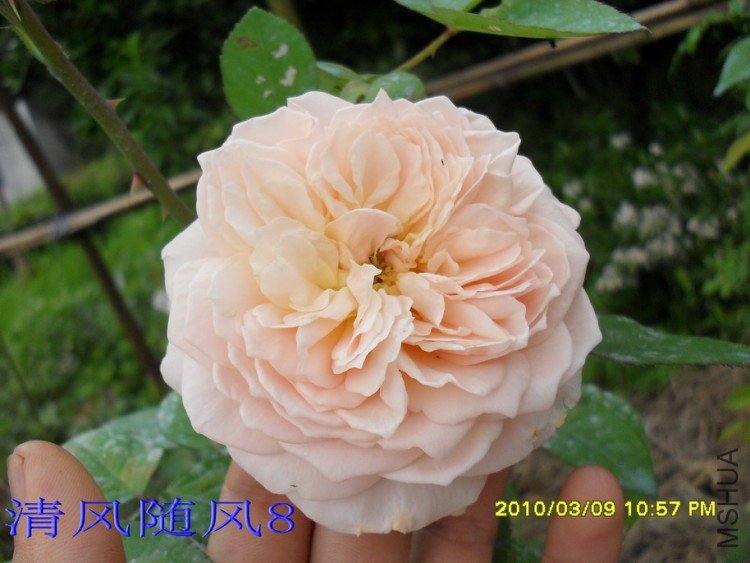 ��ܽ��13 (3).jpg