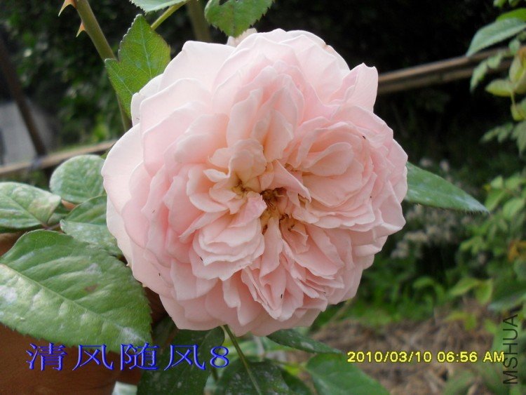 ��ܽ��13 (4).jpg