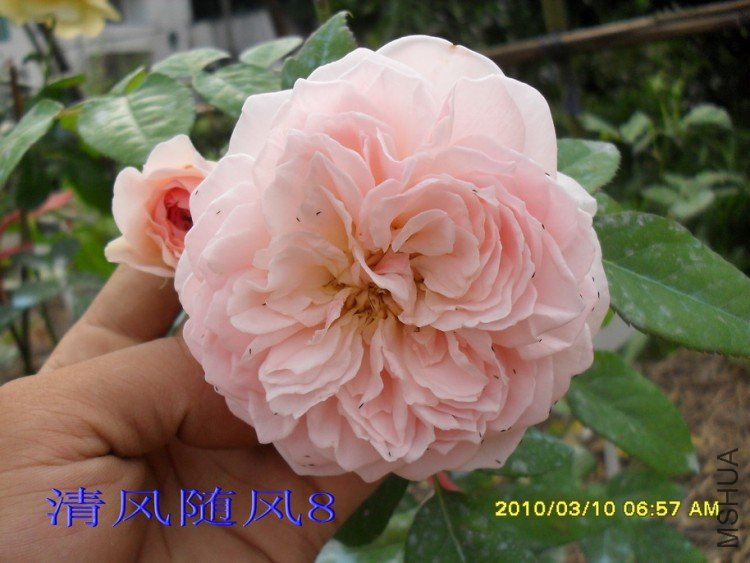 ��ܽ��13 (5).jpg