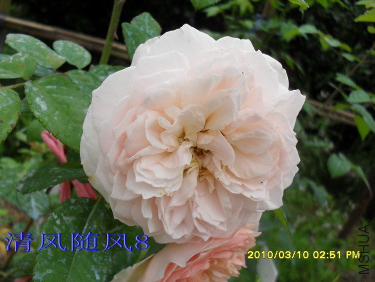 ��ܽ��13 (6).jpg