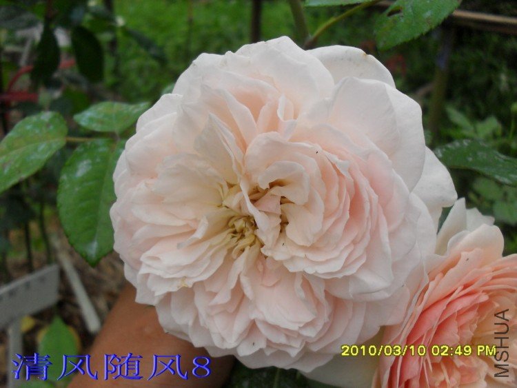 ��ܽ��13 (7).jpg