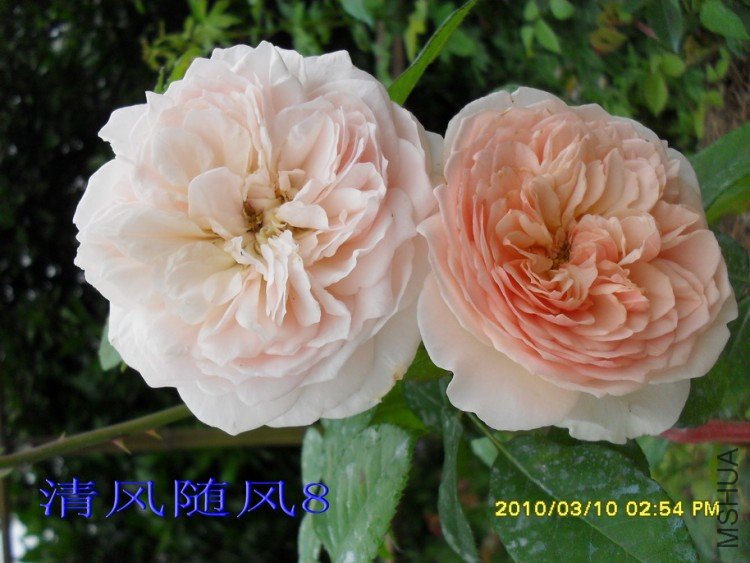 ��ܽ��13 (8).jpg