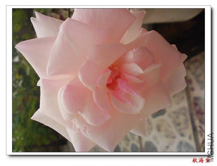 nEO_IMG_DSC00004.jpg