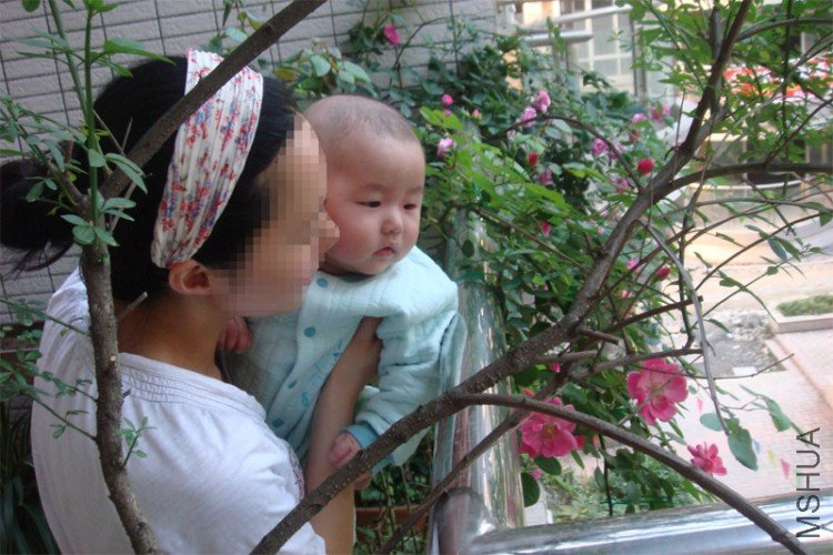 δ����-1 ����.jpg