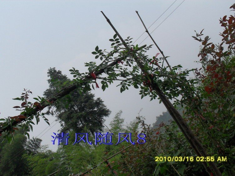 �ٺ���ɯ��