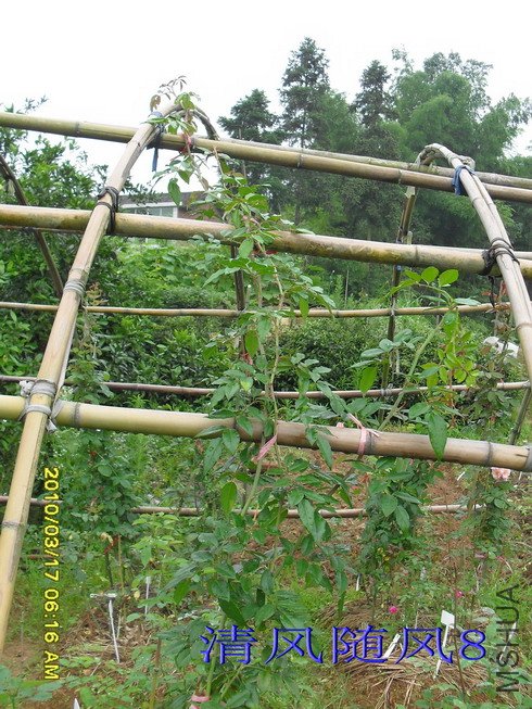 �������.�ͱȰ�*3.5M 