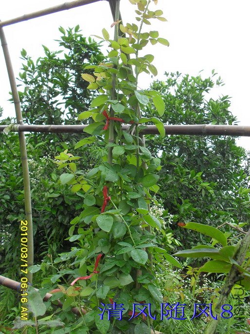 ���������*2.5M