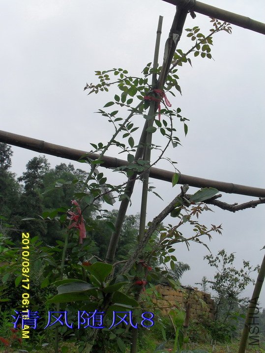 ��������.����ά��*3.5M