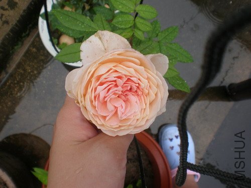 P1010015.JPG