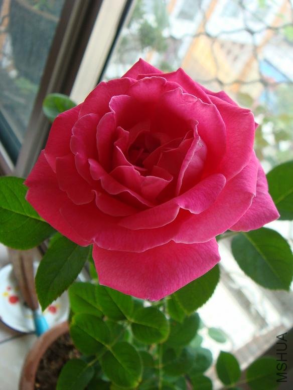 DSC01504.JPG