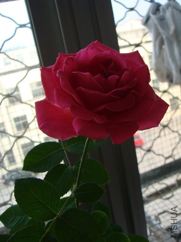DSC01501.JPG