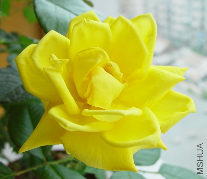 DSC02473.JPG