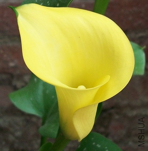 100_0792.jpg