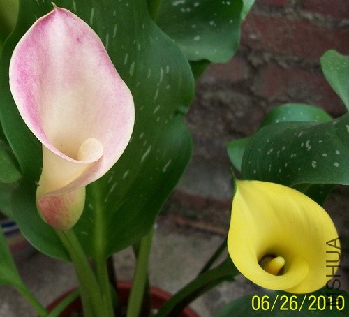 100_0794.jpg