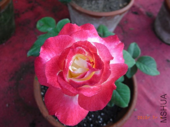 RIMG0282_������С.JPG