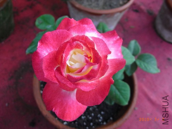RIMG0281_������С.JPG