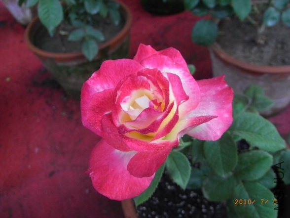 RIMG0280_������С.JPG
