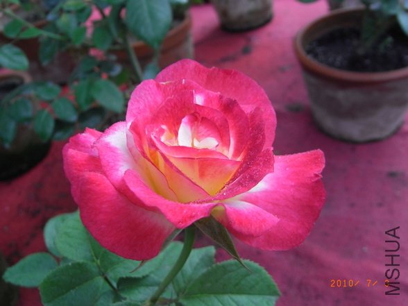 RIMG0278_������С.JPG