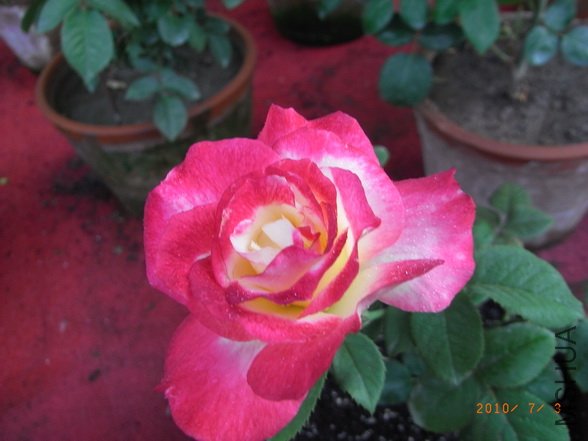 RIMG0279_������С.JPG