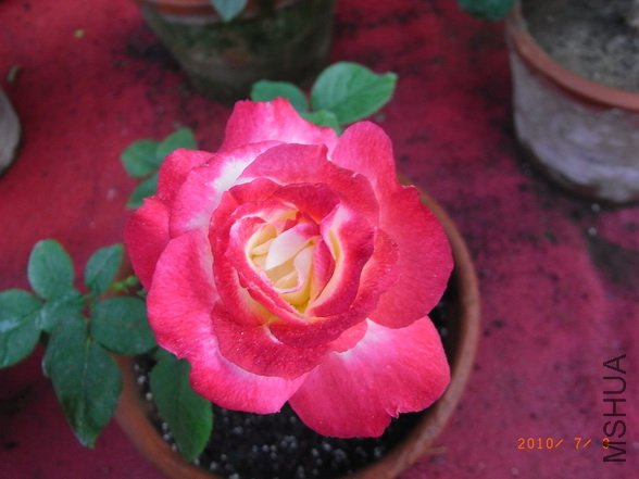 RIMG0275_������С.JPG