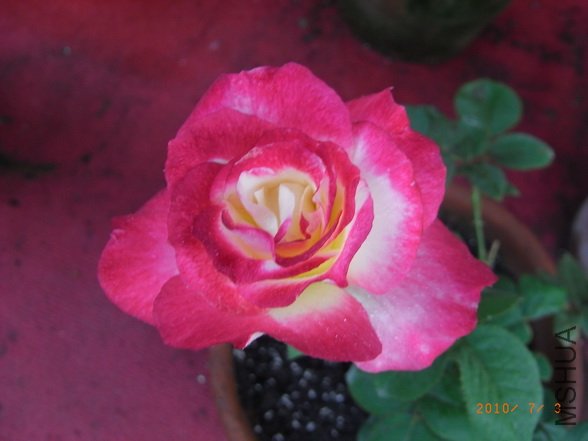 RIMG0283_������С.JPG